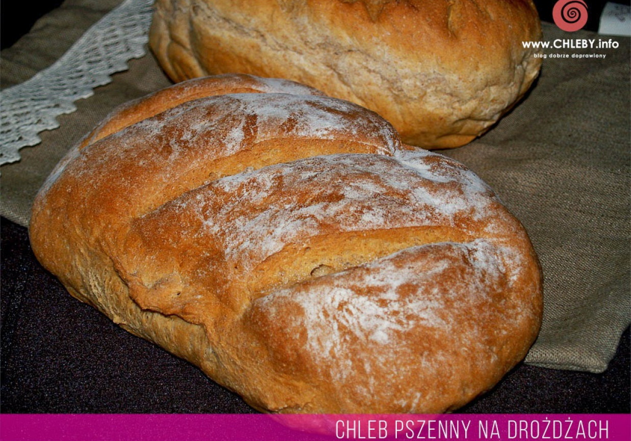 Chleb pszenny na drożdżach  foto