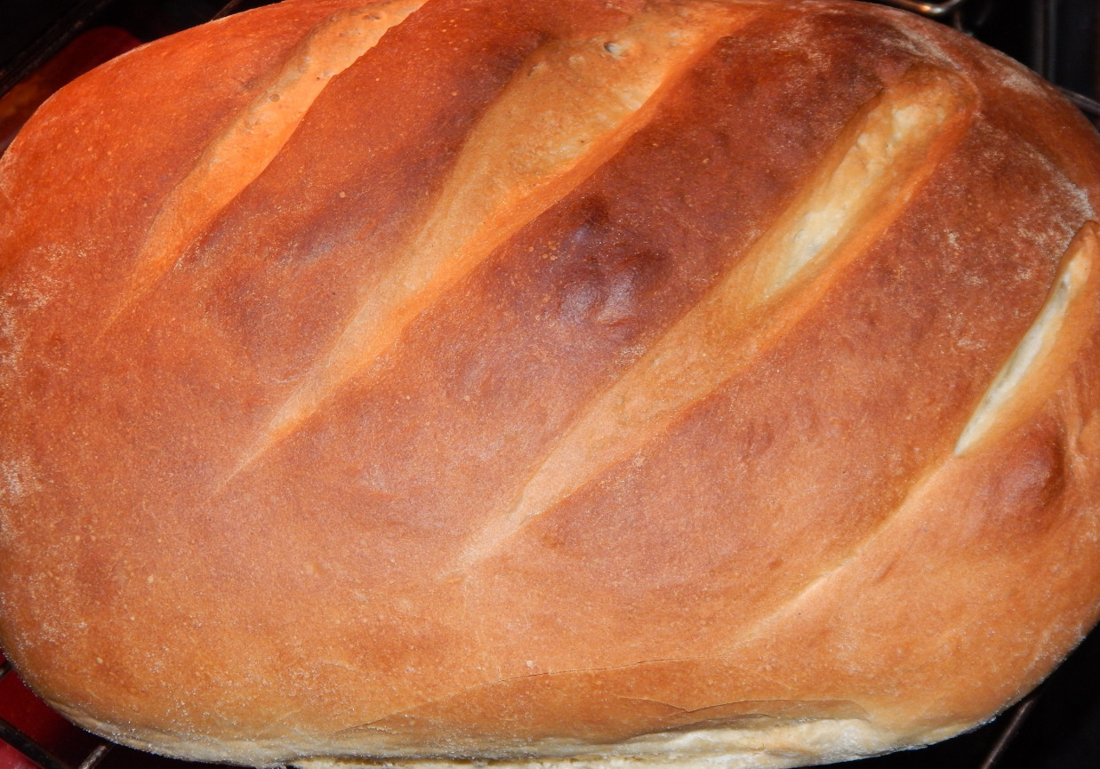 Chleb pszenny na mleku i drożdżach foto
