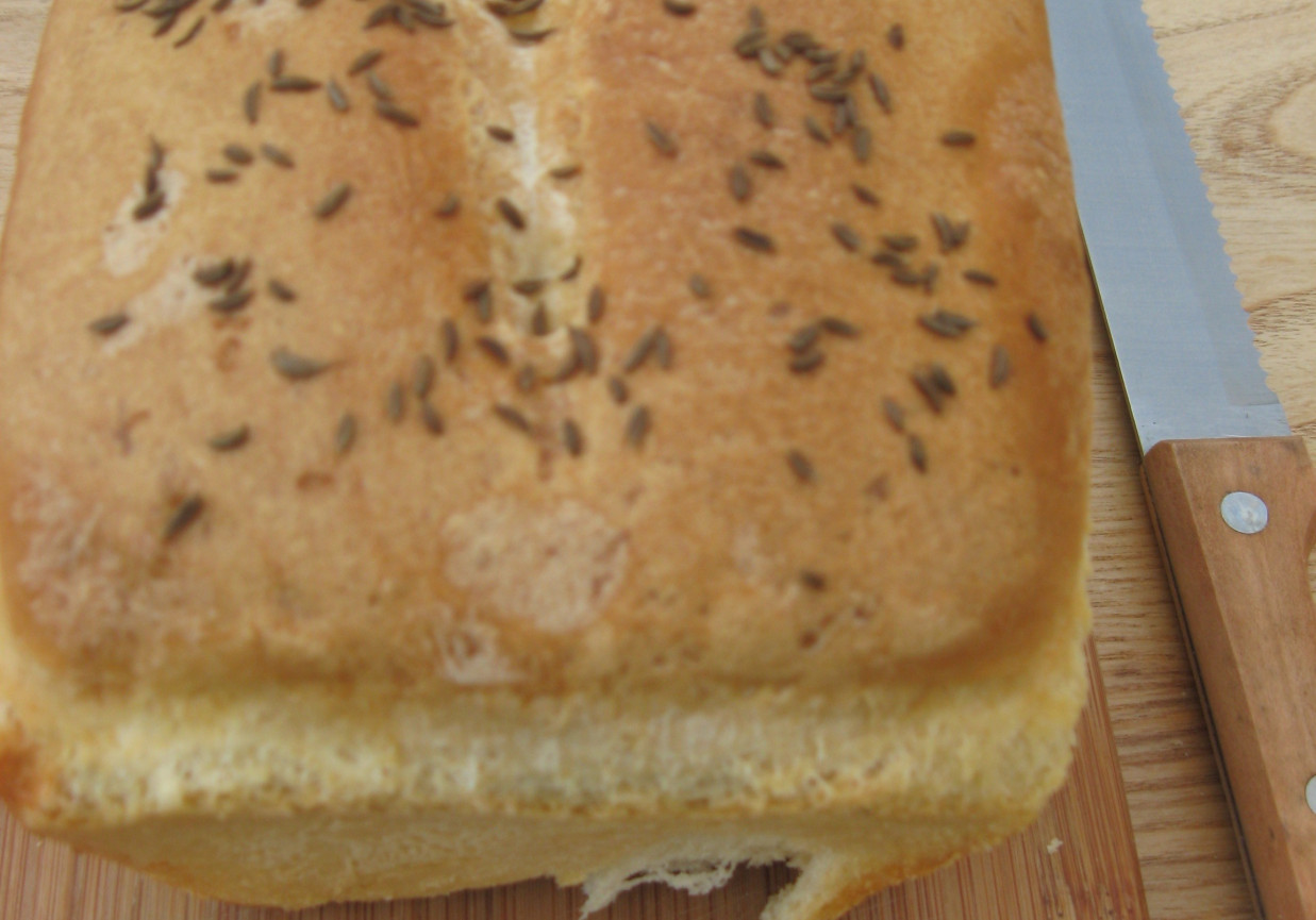 Chleb pszenny z kminkiem foto