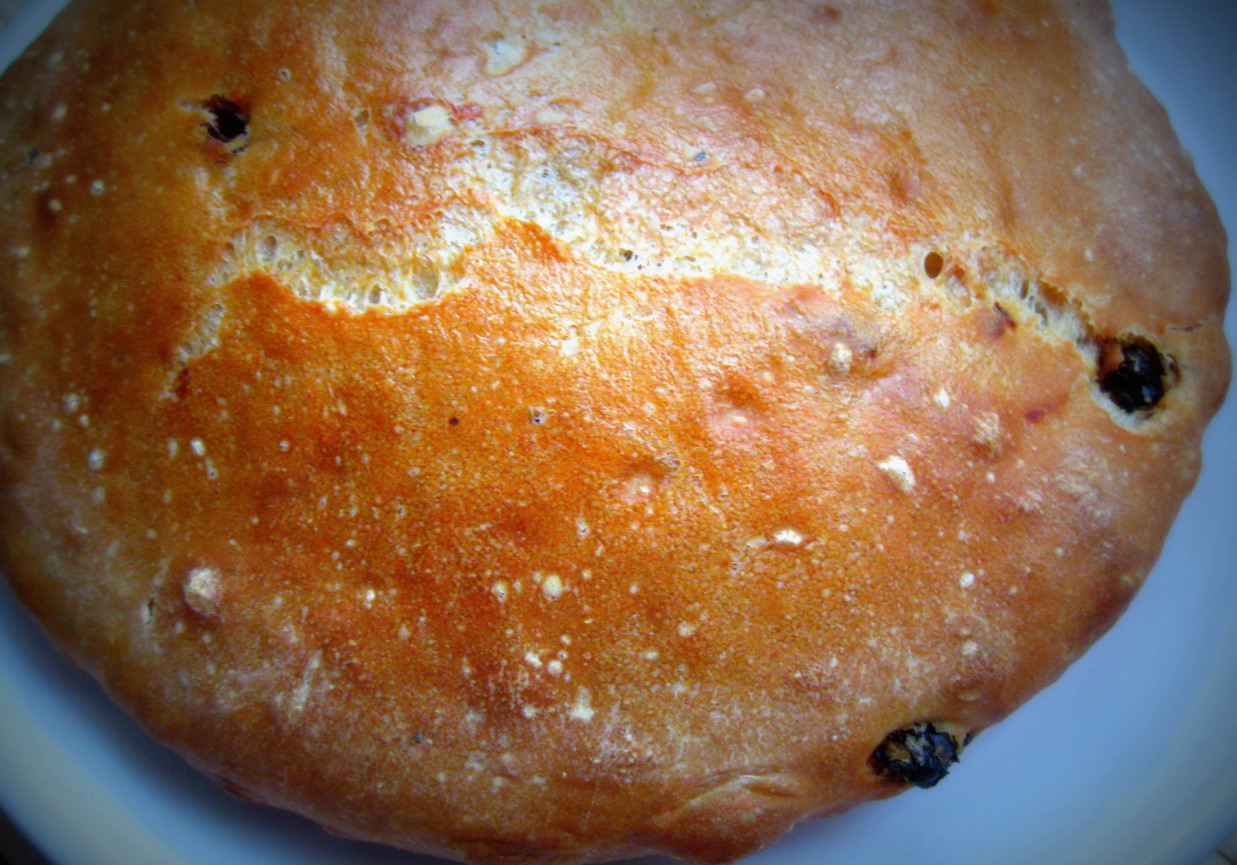 Chleb pszenny z suszonymi pomidorami foto