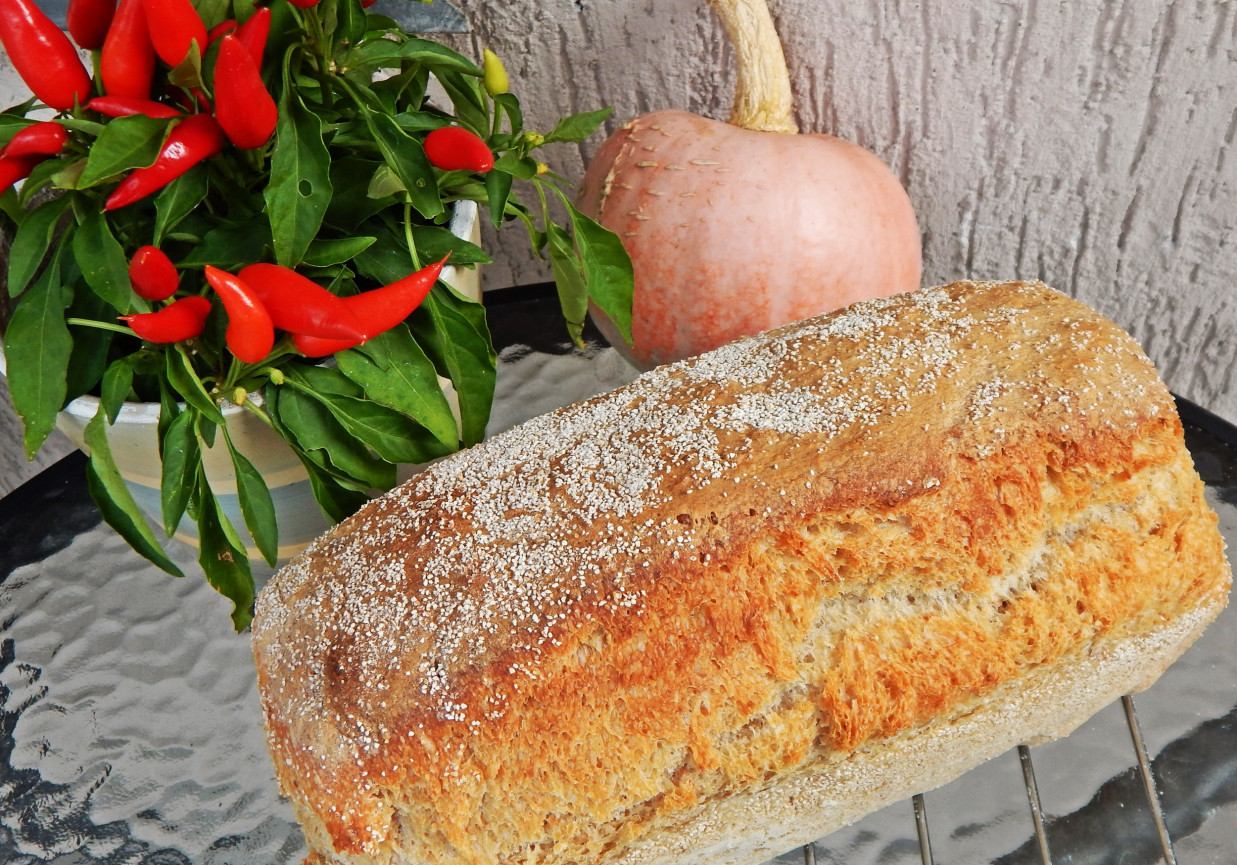 Chleb pszenny zakwasowy z otrębami  foto