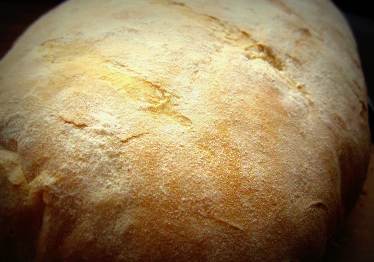 Chleb pszenny zwykły foto