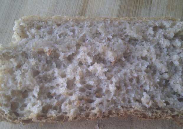 Fotografia przedstawiająca chleb rosnący nocą