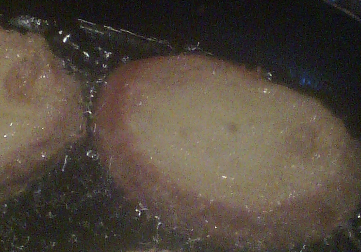 Chleb w jajku foto