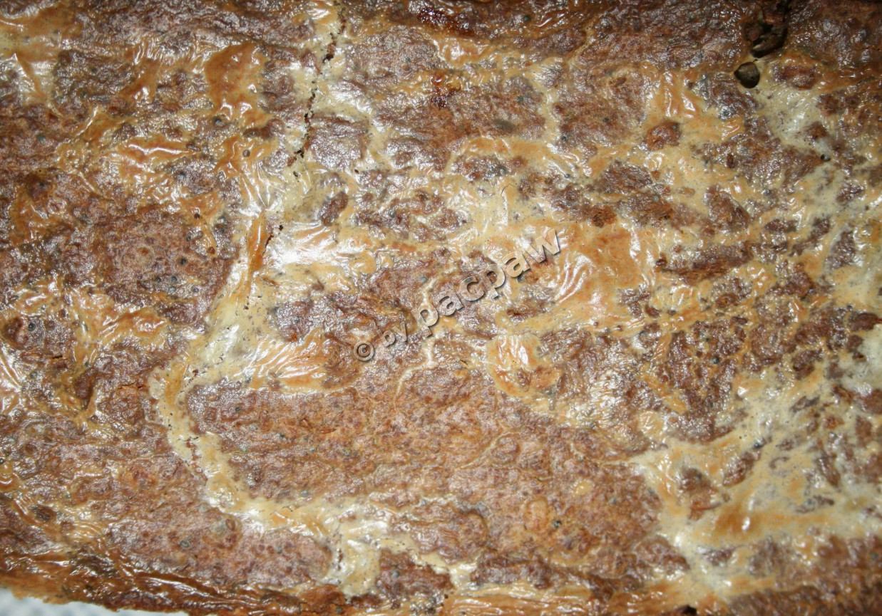 Chleb wieloziarnisty z soczewicą na zakwasie żytnim foto