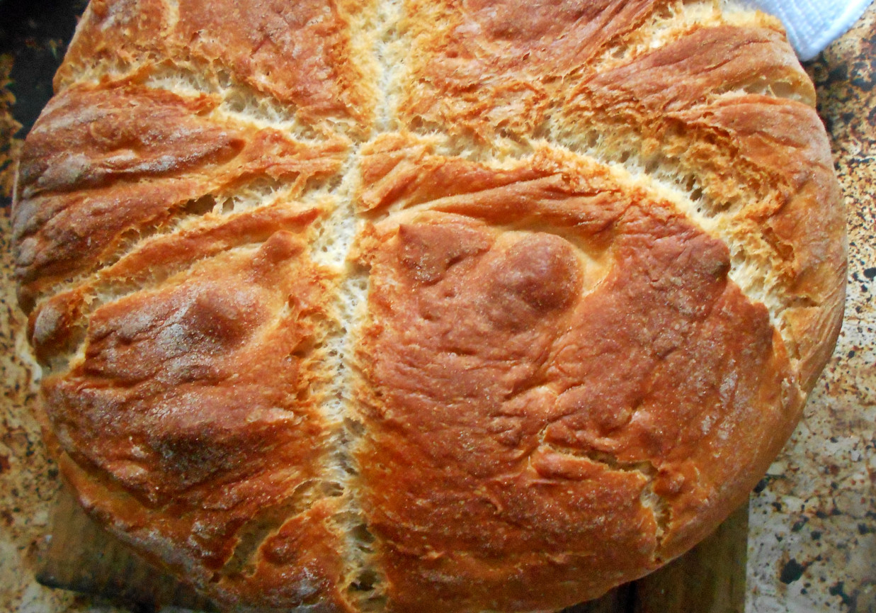 Chleb z garnka  foto