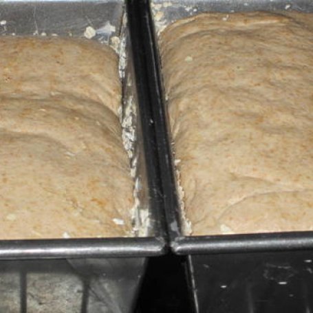 Krok 2 - Chleb z mąką orkiszową foto