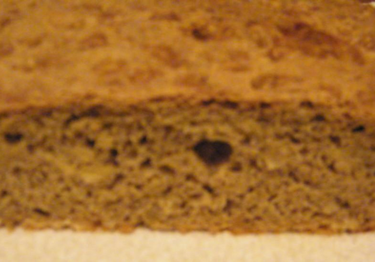 Chleb ze słonecznikiem foto