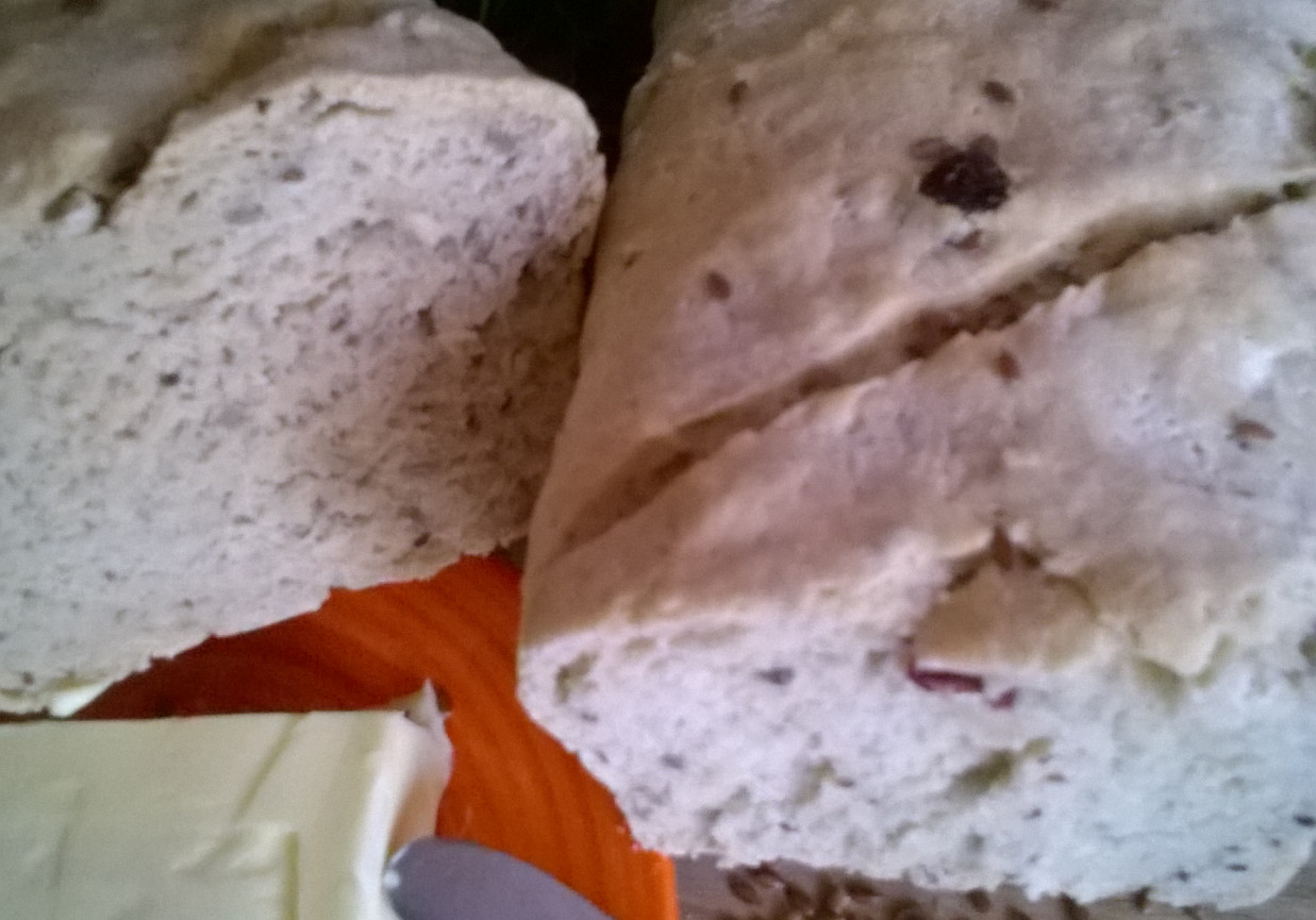 Chleb żytnio - pszenny z żurawiną i słonecznikiem foto
