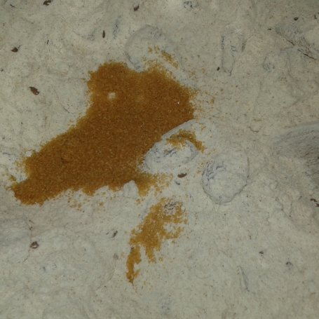 Krok 6 - Chlebek orzechowo - morelowo - rodzynkowy na maślance foto