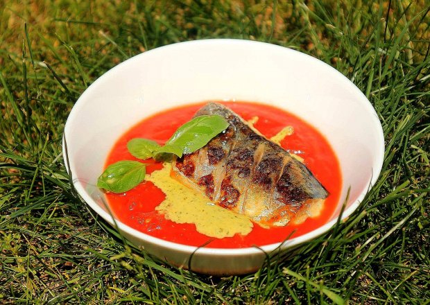 Fotografia przedstawiająca Chłodnik pomidorowy z grillowaną makrelą i pesto