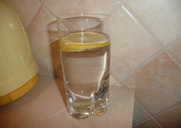 Fotografia przedstawiająca chłodzący drink z ginem