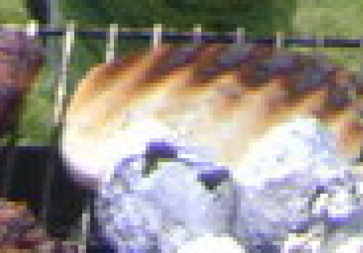 Chrupiacy chleb z grilla foto
