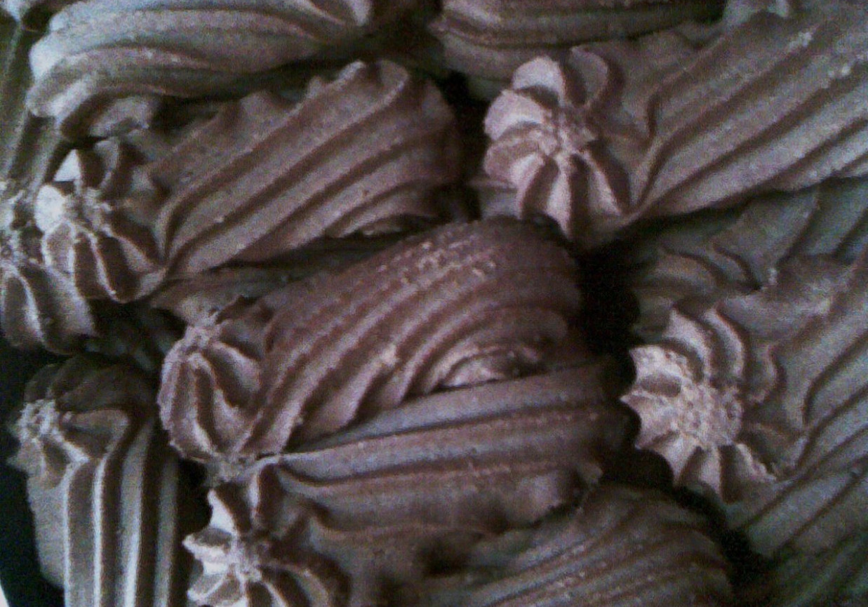Ciasteczka kakaowe foto