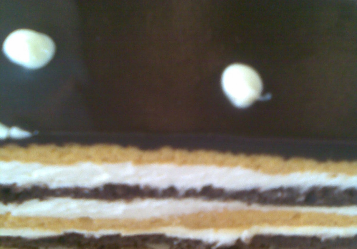 Ciasto biszkoptowe z kremem i czekoladą foto
