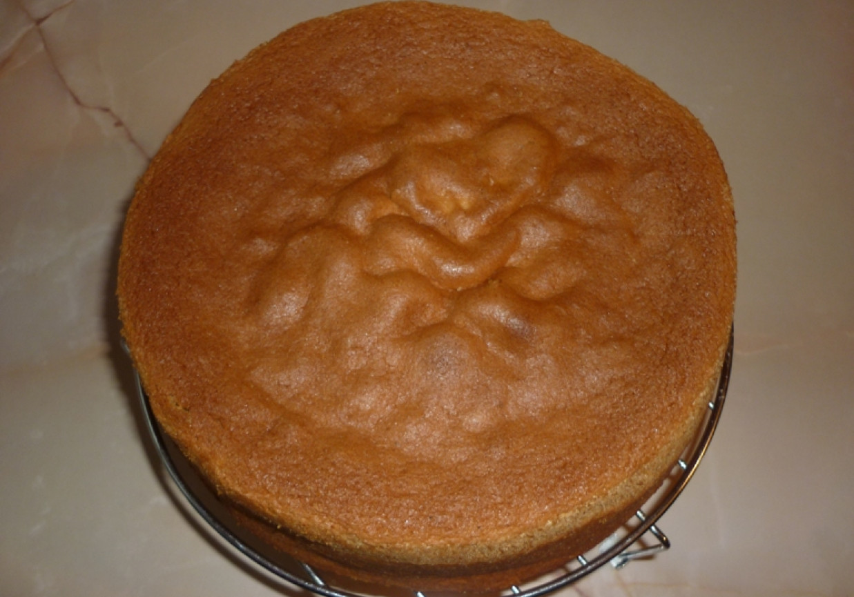 Ciasto biszkoptowe foto