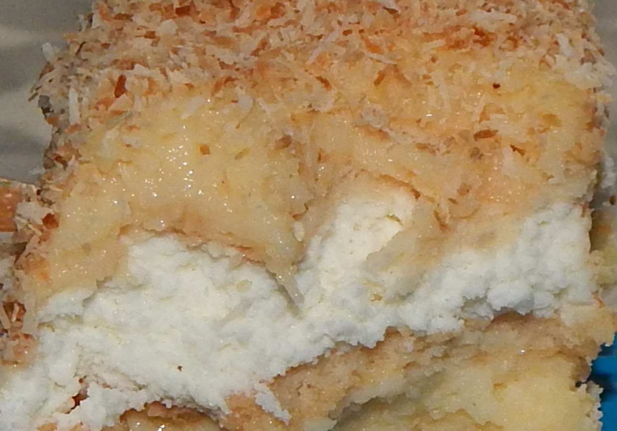 Ciasto budyniowo-serowe z kokosem (bez pieczenia) © foto