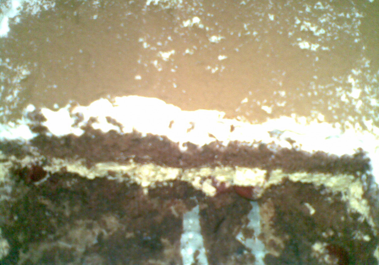 ciasto cappucino z wiśniami foto