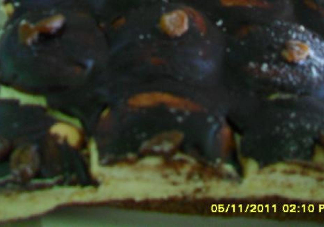 Ciasto Cycki Murzynki foto