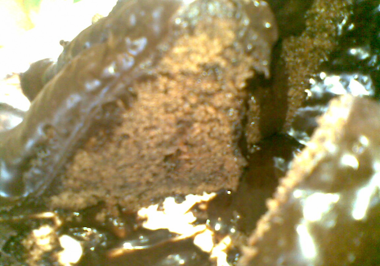 ciasto czekoladowe z kawałkami czekolady foto