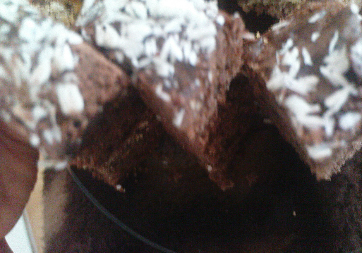 Ciasto czekoladowe z winem foto