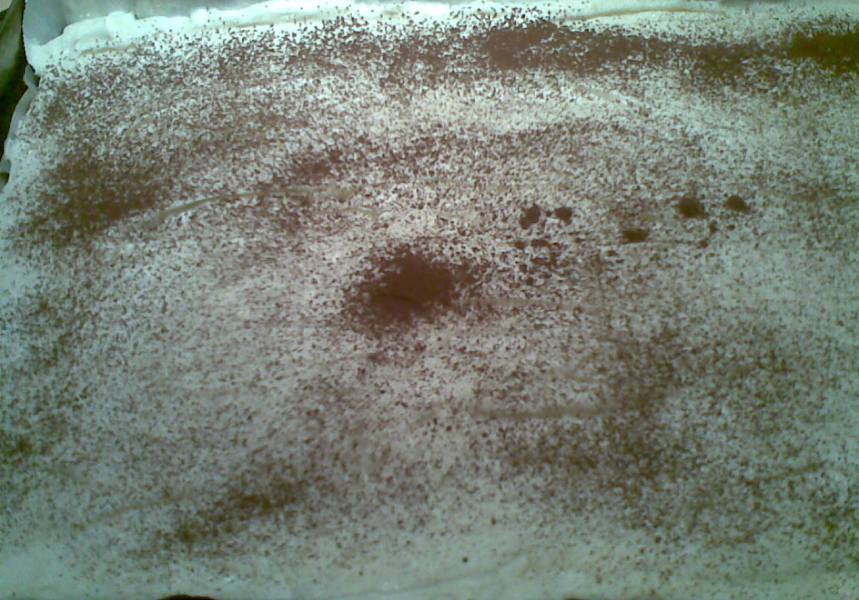 ciasto fale dunaju z mrożonymi śliwkami foto