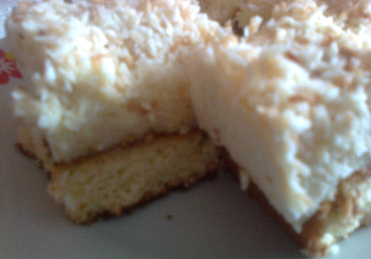Ciasto " ŁABĘDZI PUCH" foto