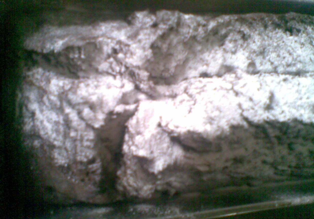 ciasto mleczno-kakaowe foto