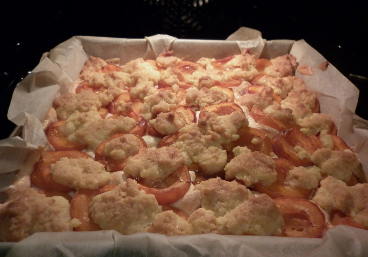 Ciasto morelowo - rabarbarowe. foto