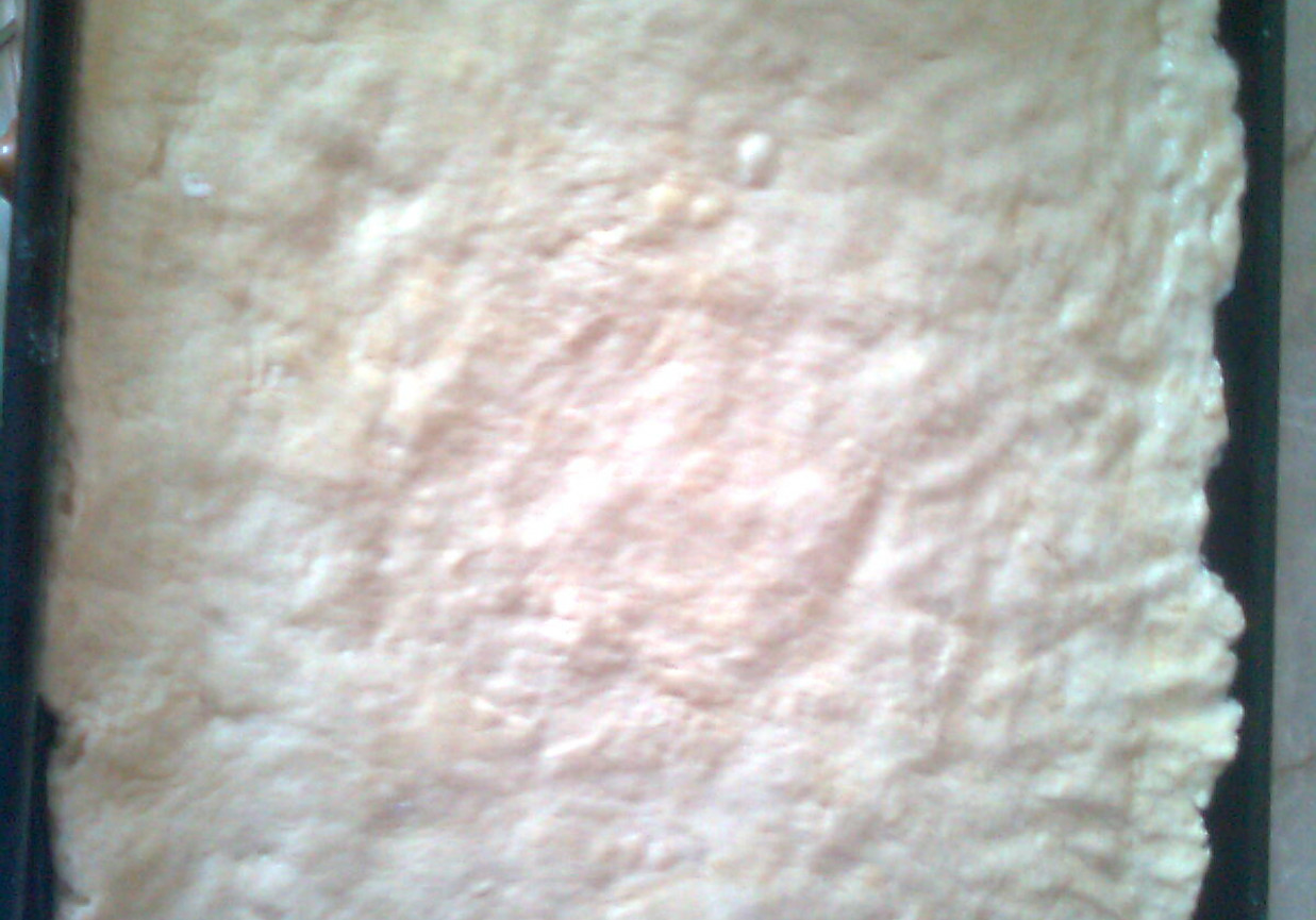 ciasto na pizze foto