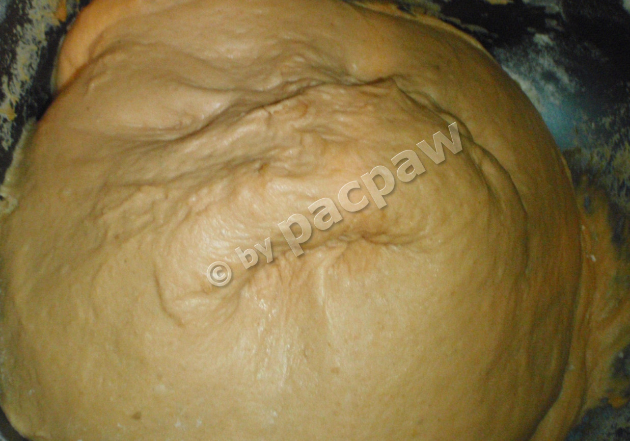 Ciasto pomidorowe do pizzy foto