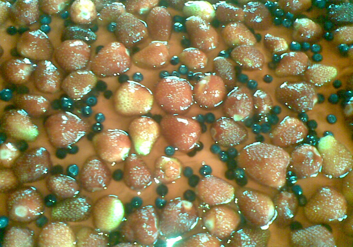 ciasto truskawkowo - jagodowe na biszkopcie foto