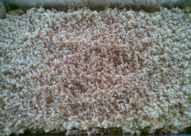Fotografia przedstawiająca ciasto z prażonym kokosem - kokosanka