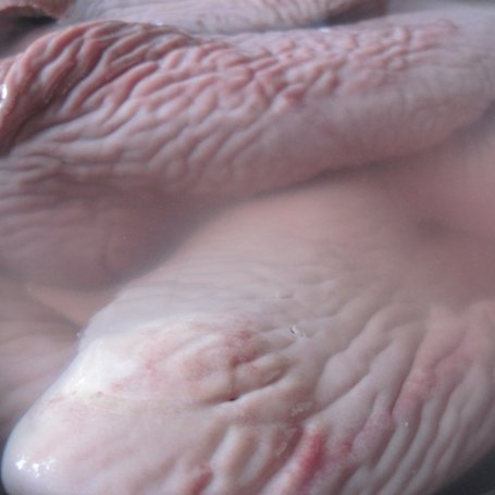 Krok 2 - Cynadry wieprzowe wg Joli foto