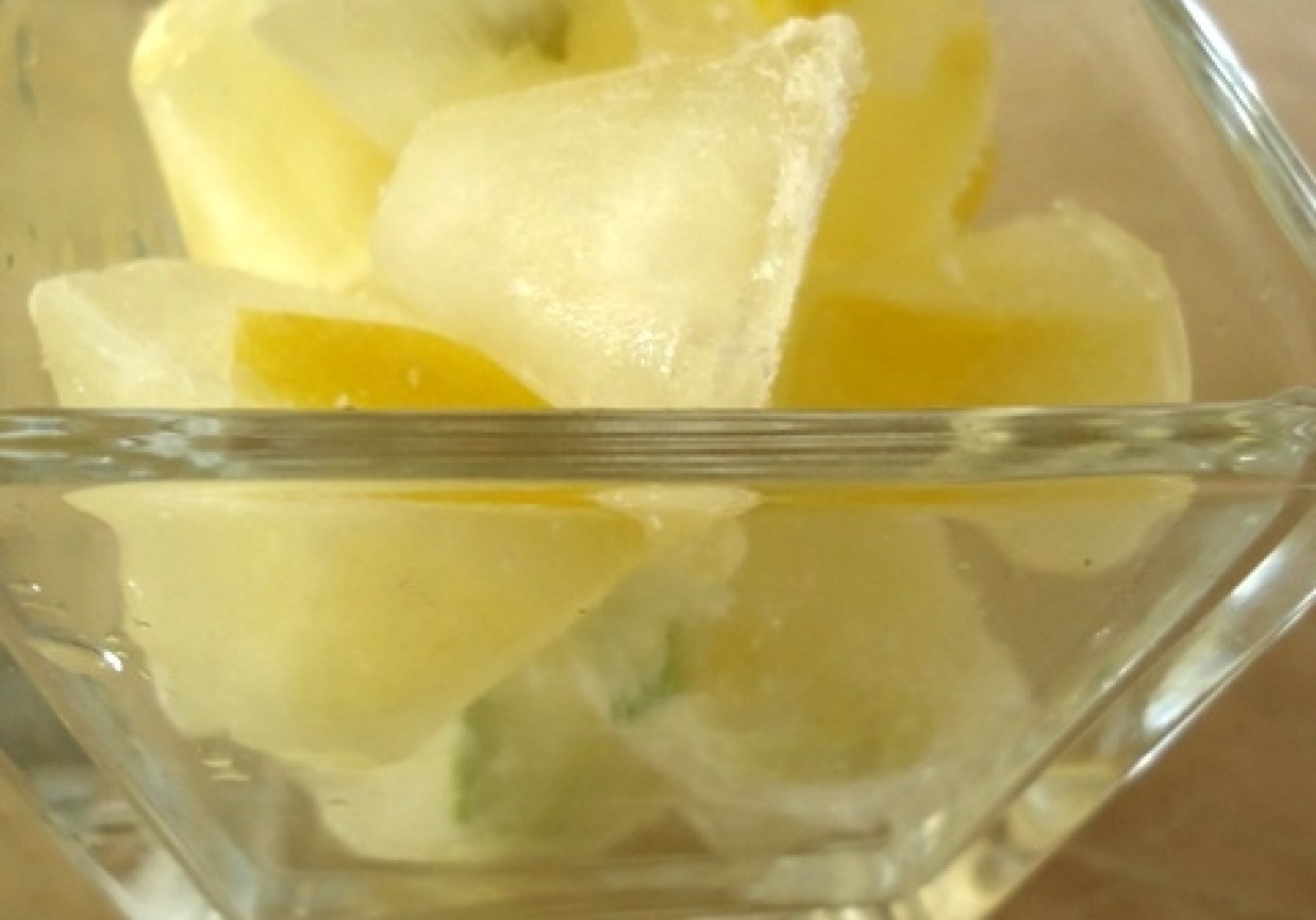 Cytrynowe i limonkowe kostki lodu foto