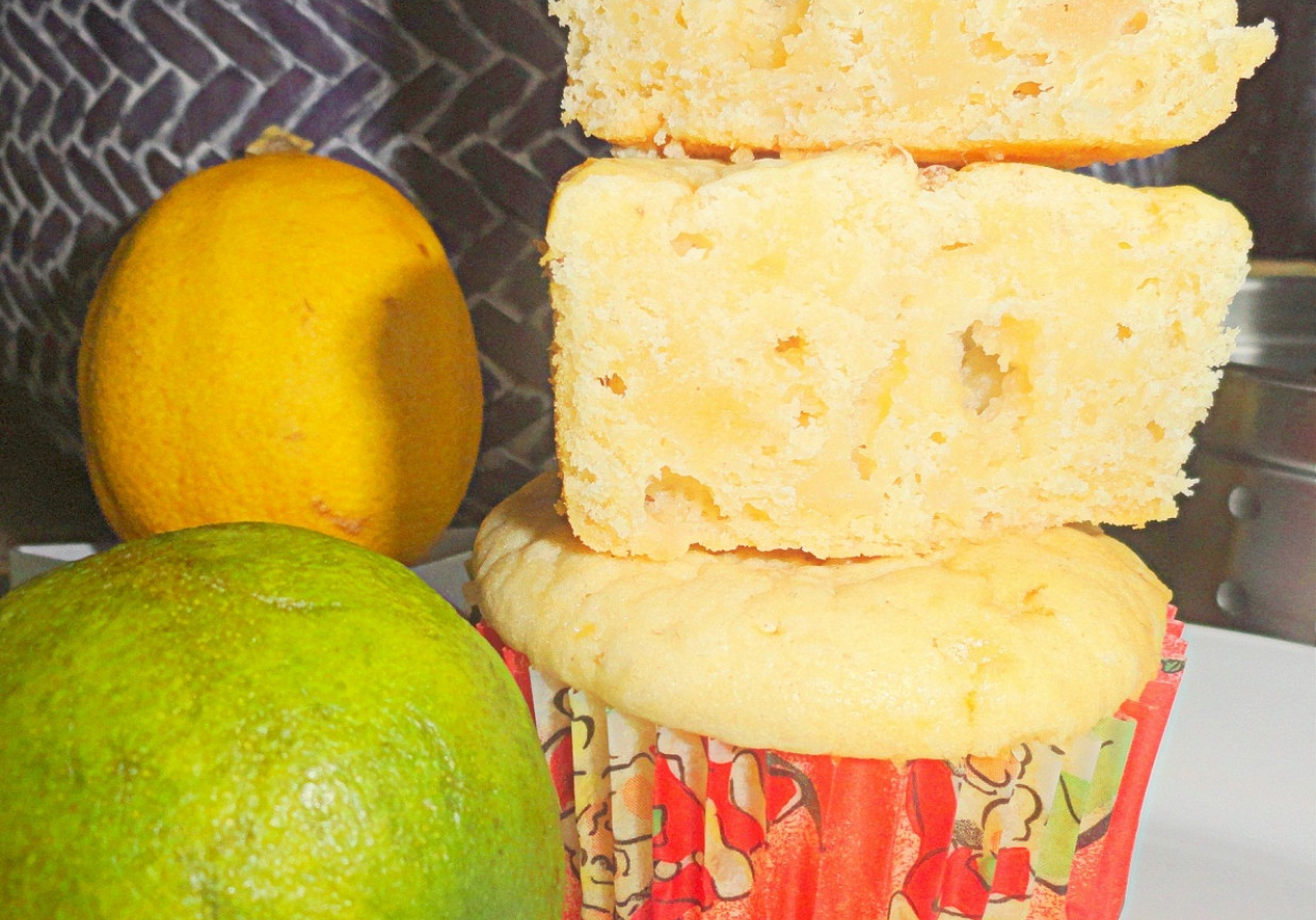 cytrynowo limonkowe muffiny foto