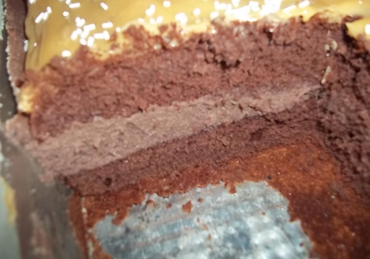 Czekoladowe ciasto z kremem foto