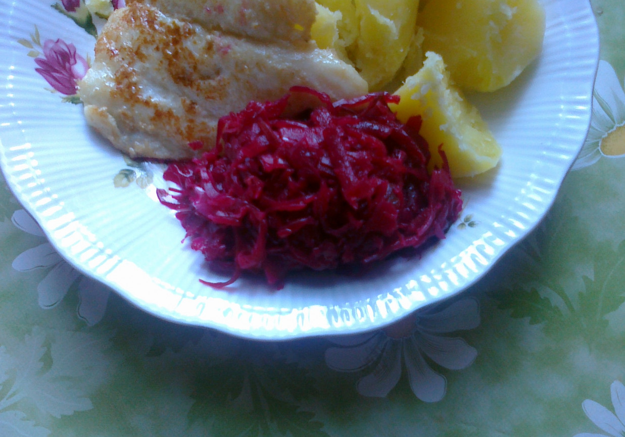 czerwona kapusta (oszukana) foto