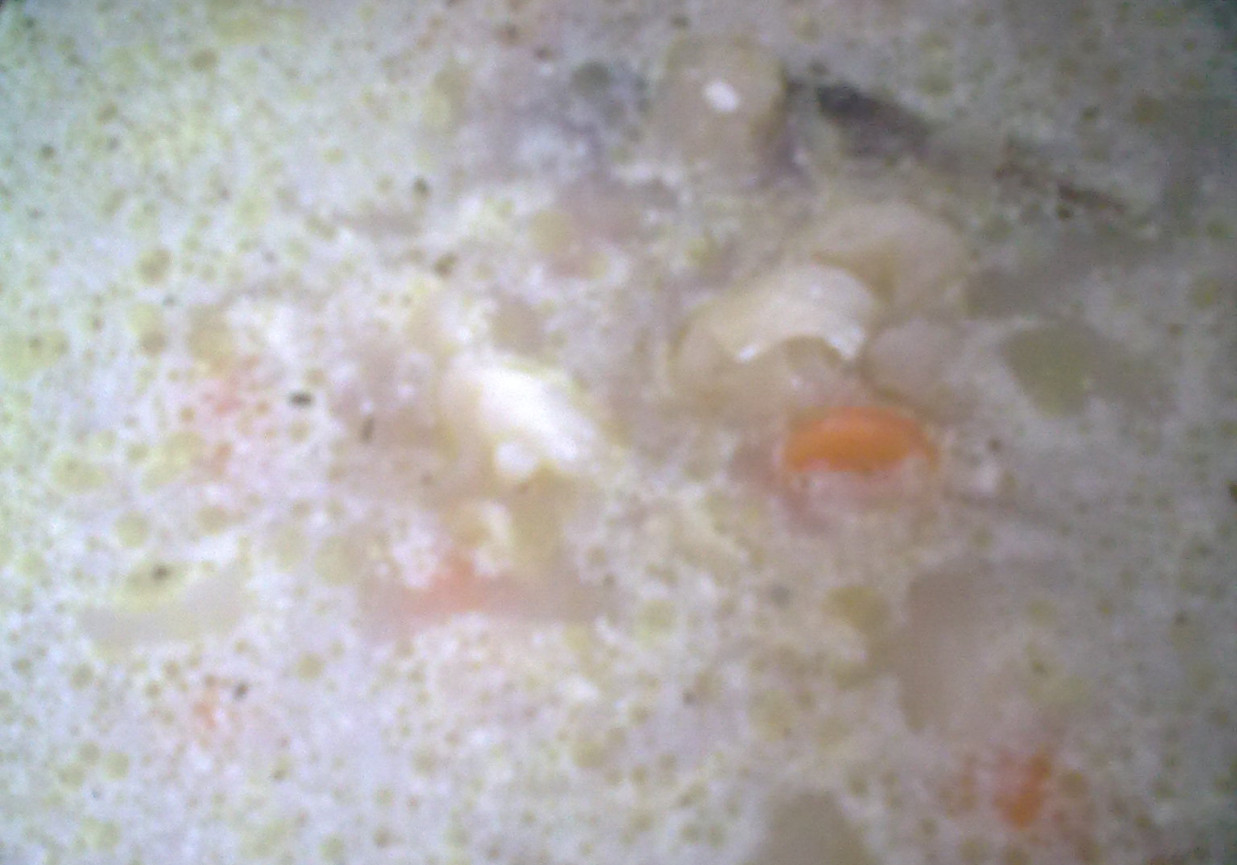Delikatna zupka kalafiorowa z koperkiem foto
