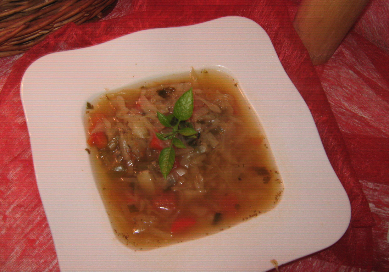 Dietetyczna zupa kapuściana foto