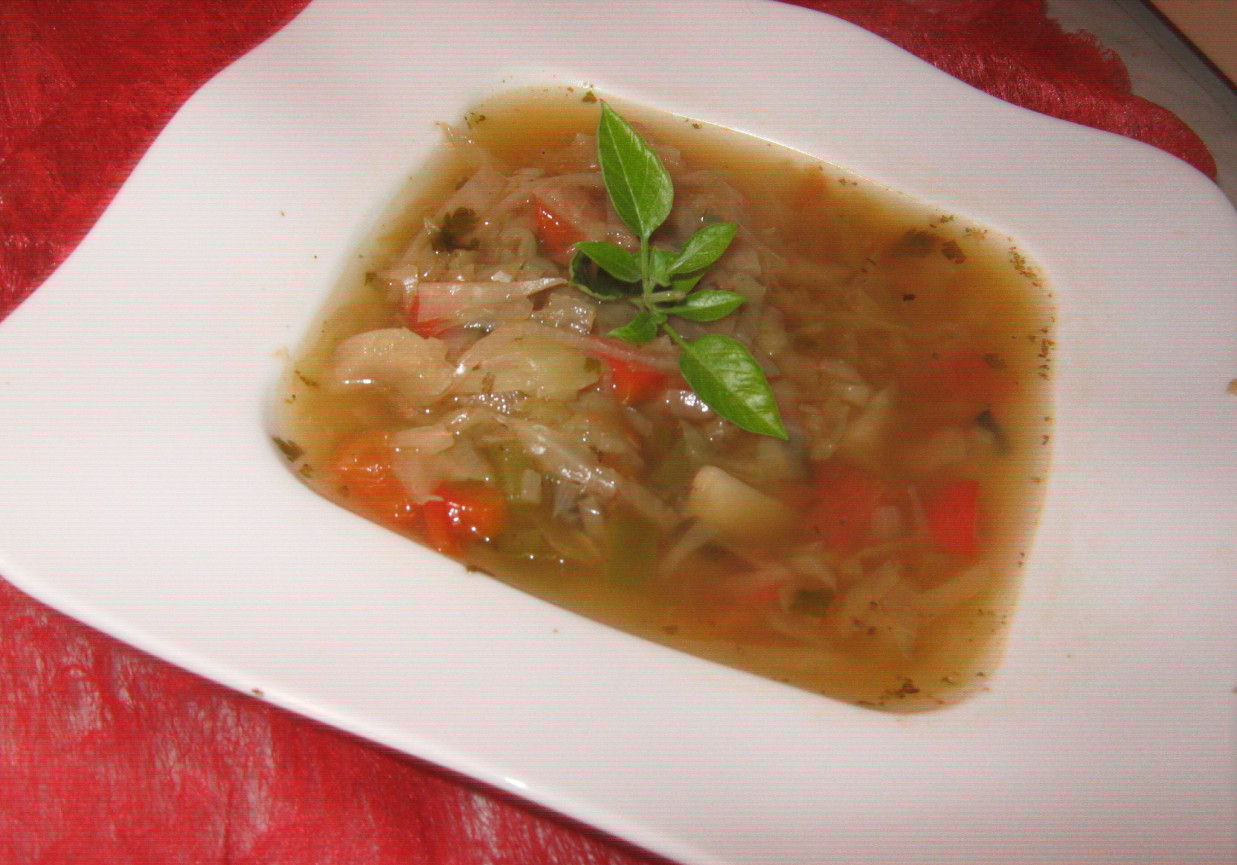 Dietetyczna zupa kapuściana foto