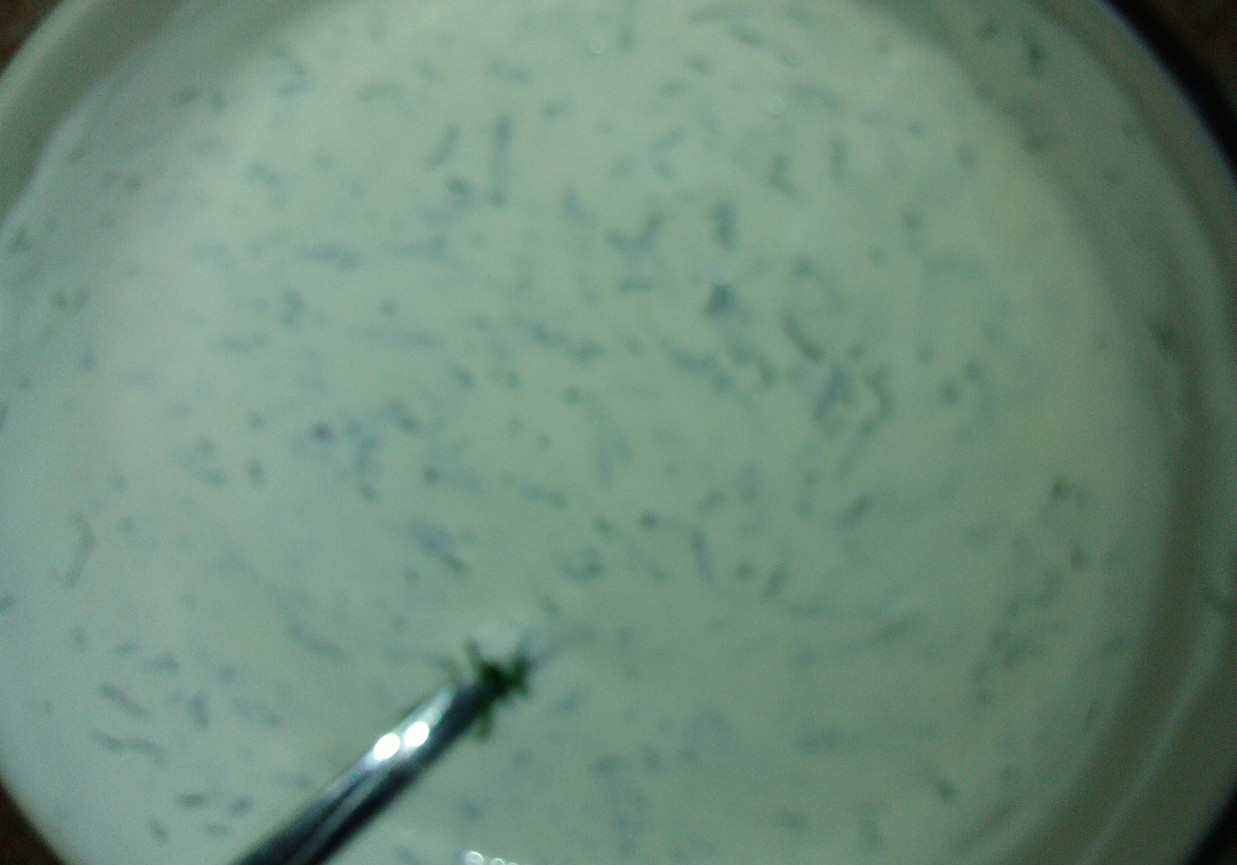 Dip majonezowo-jogurtowy z koperkiem i kolorowym pieprzem  foto