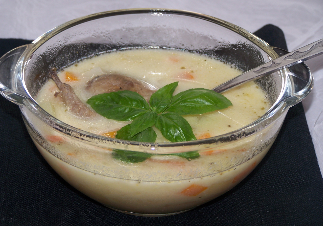 Dla smakoszy, czyli zupa z gołębim wsadem :) foto
