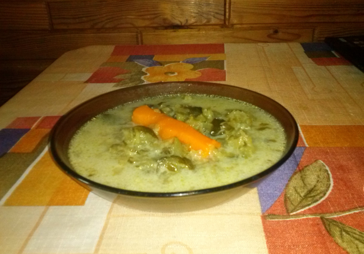 Domowa zupa ogórkowa foto