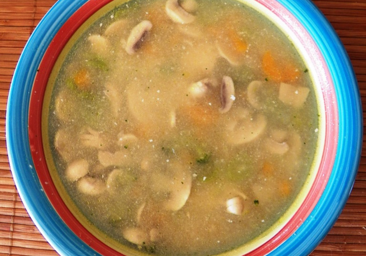 Domowa zupa pieczarkowa foto