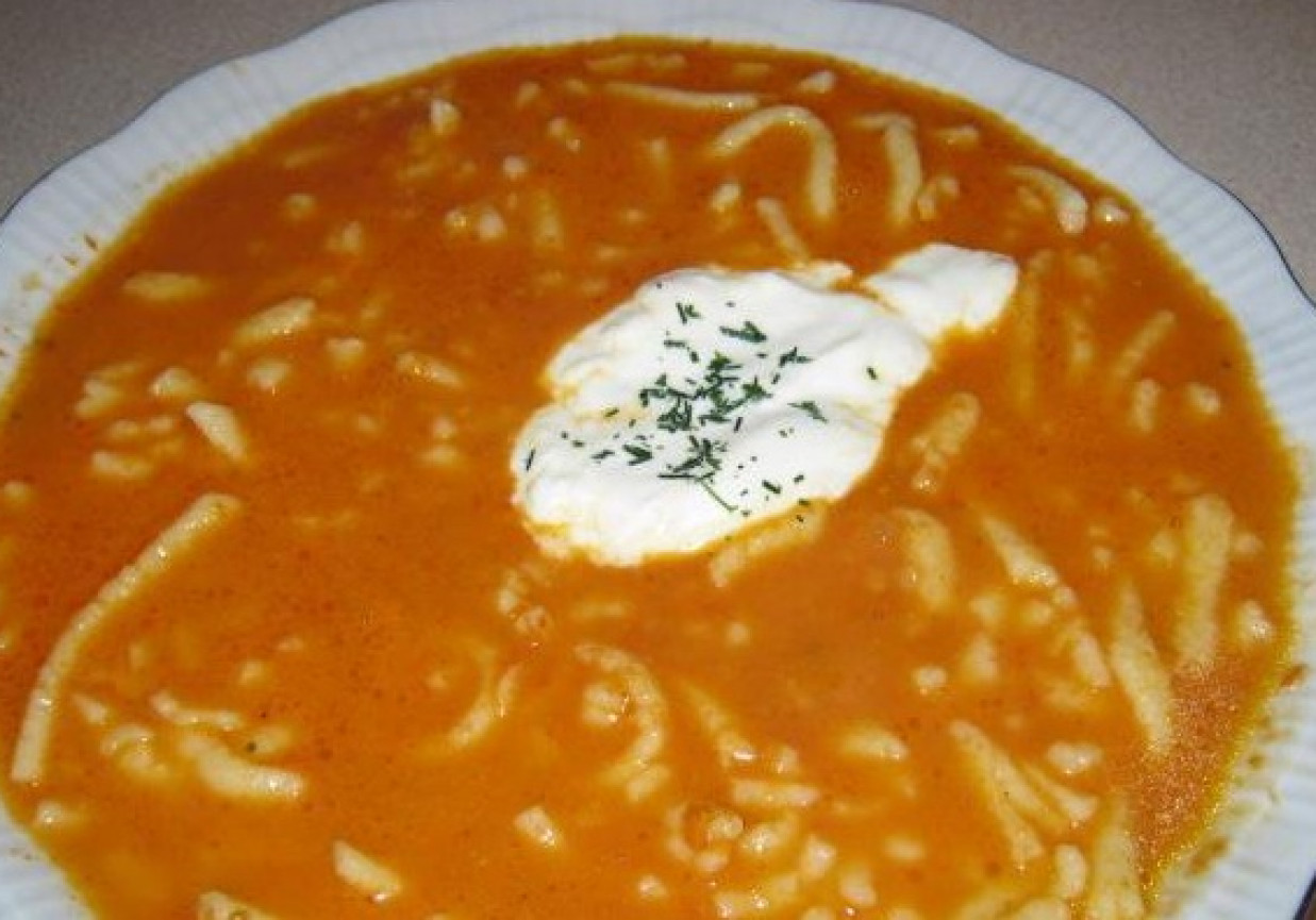 Domowa zupa pomidorowa. foto