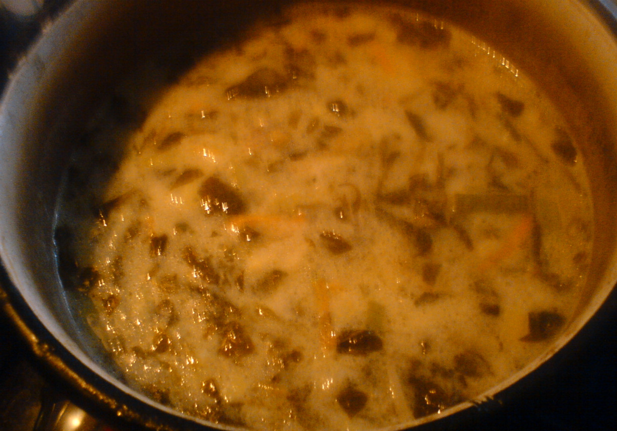 Domowa zupa szczawiowa foto