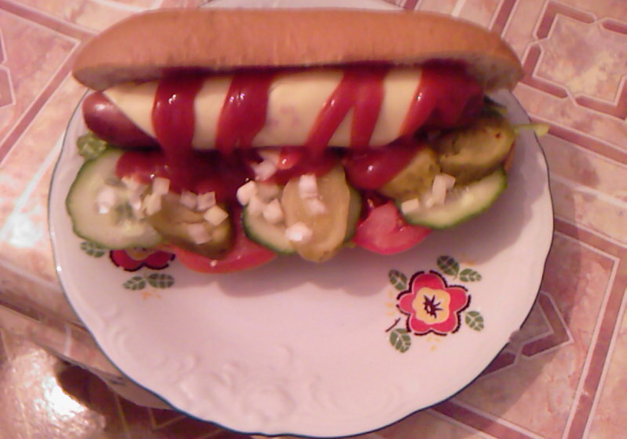 Domowe hot-dogi foto