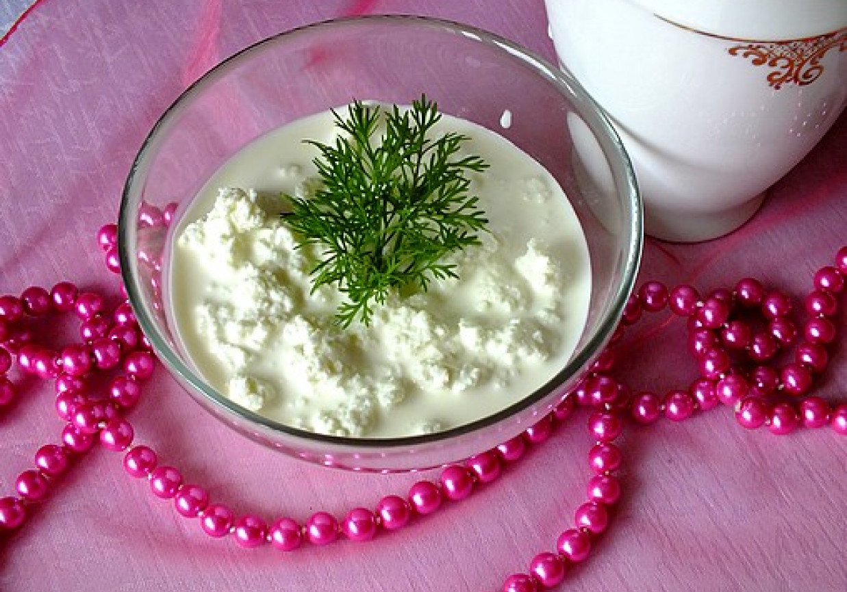 Domowy cottage cheese foto