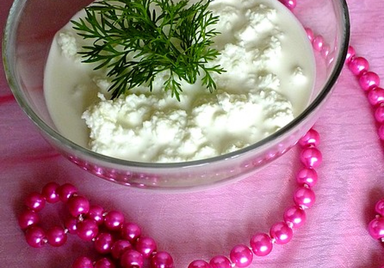 Domowy cottage cheese foto
